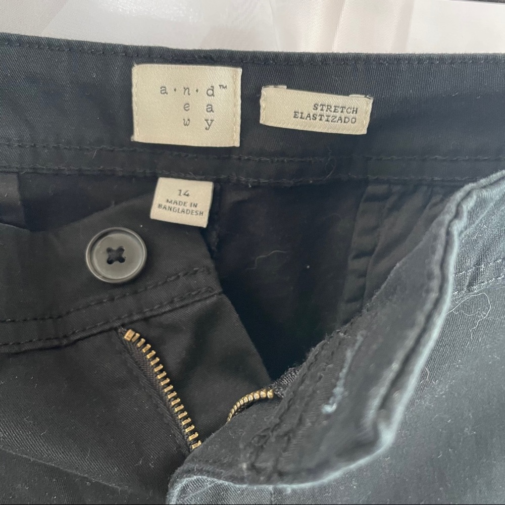 a.n.d. ew ay Stretch Elistazado Black Pants, 14